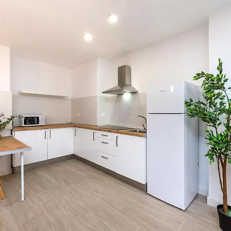 Estudio Recien Reformado En Centro Apartment