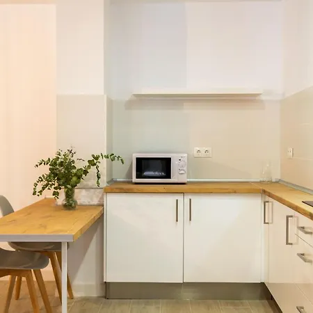 Estudio Recien Reformado En Centro Apartment *